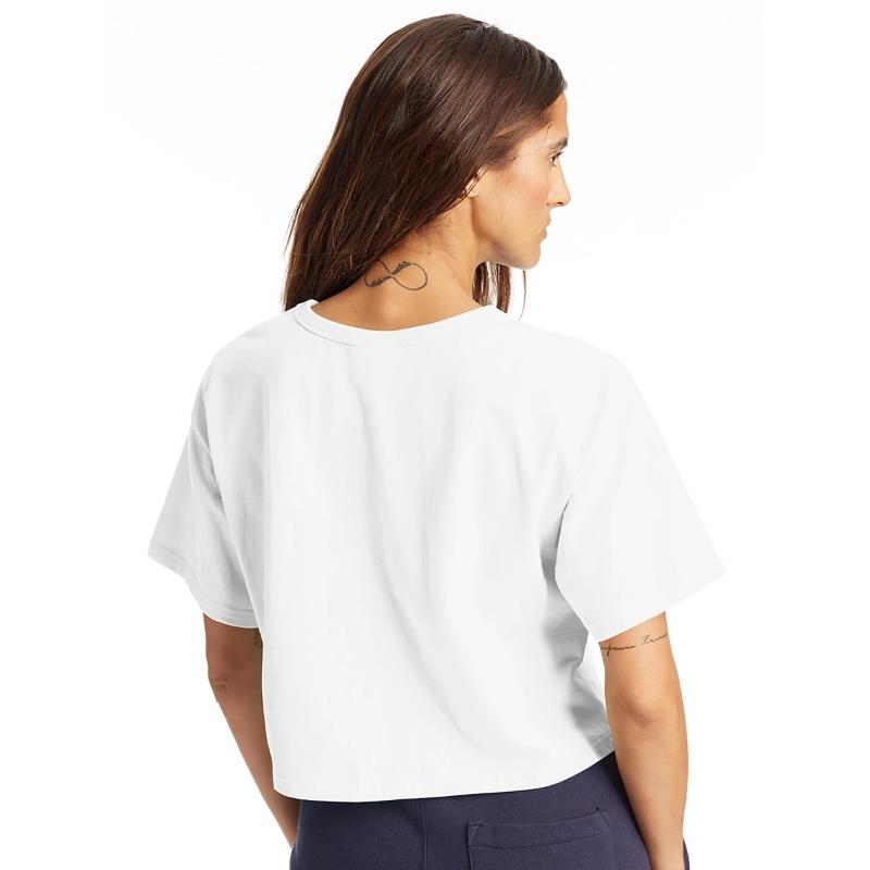 Cool Squirrel colorful painted