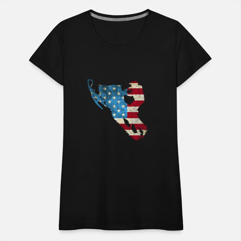 American Flag Snowmobile Winter Snowmobiling