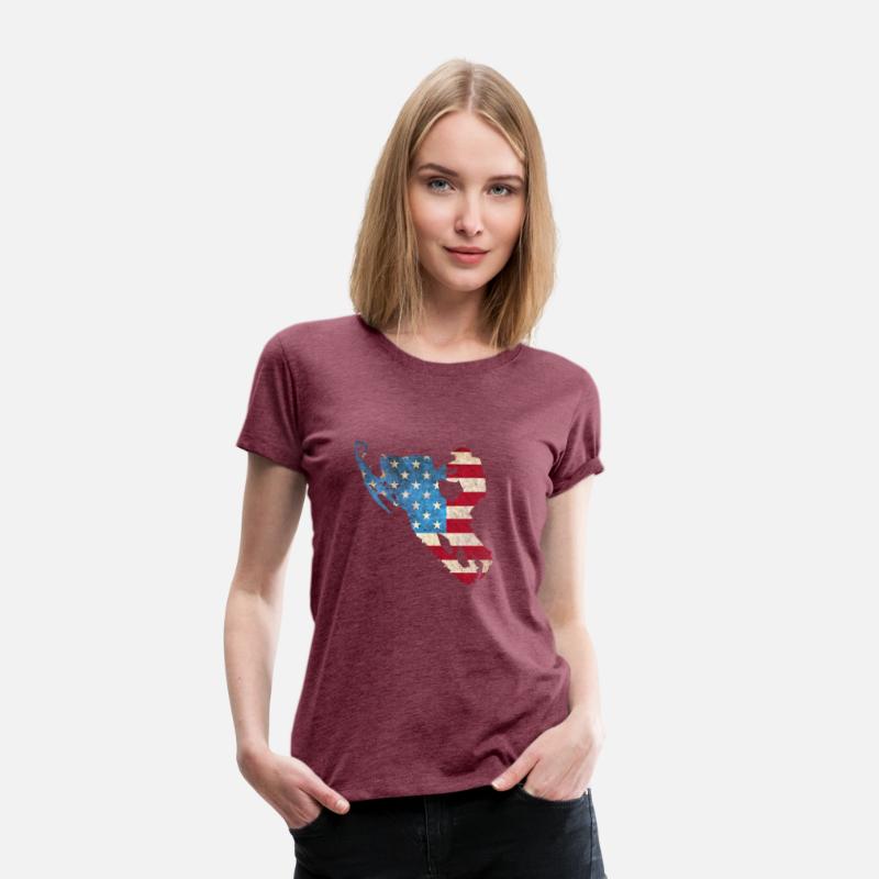 American Flag Snowmobile Winter Snowmobiling