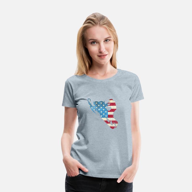 American Flag Snowmobile Winter Snowmobiling