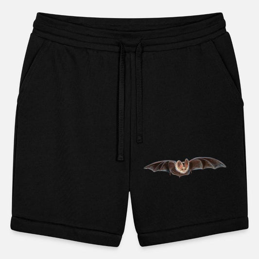 Bat Pipistrellus pipistrellus in Flight