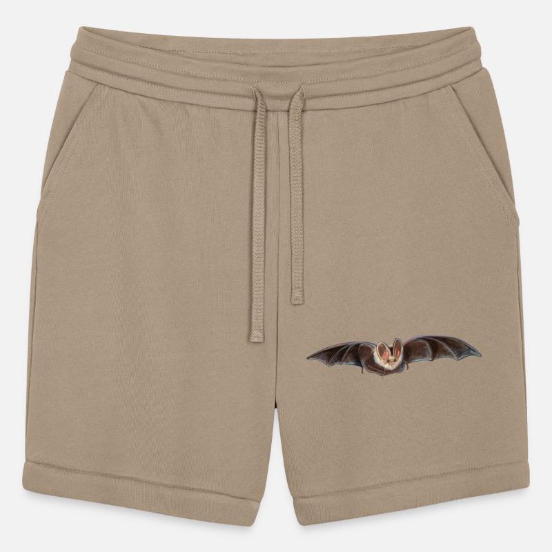 Bat Pipistrellus pipistrellus in Flight