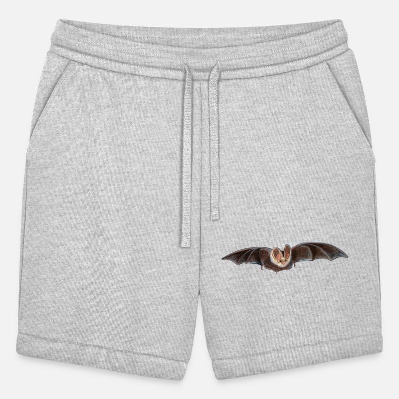 Bat Pipistrellus pipistrellus in Flight