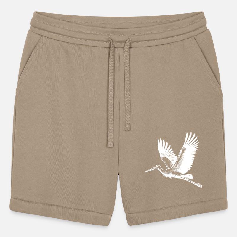 Pretty Flying Stork Bird