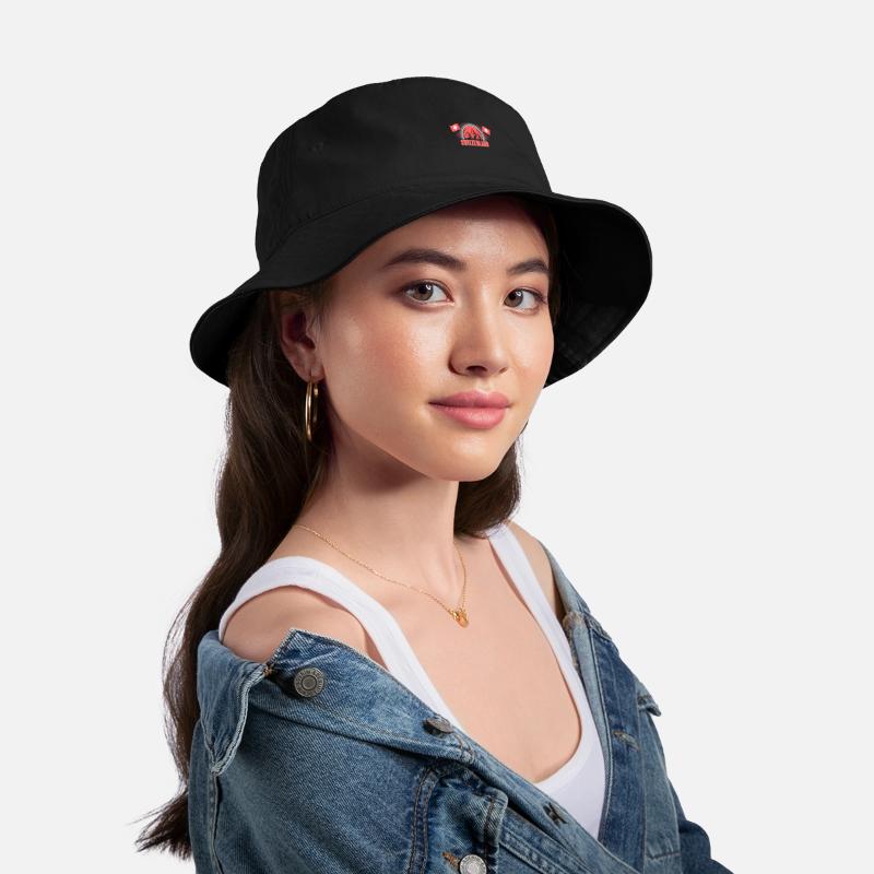 Switzerland Matterhorn Home Gift